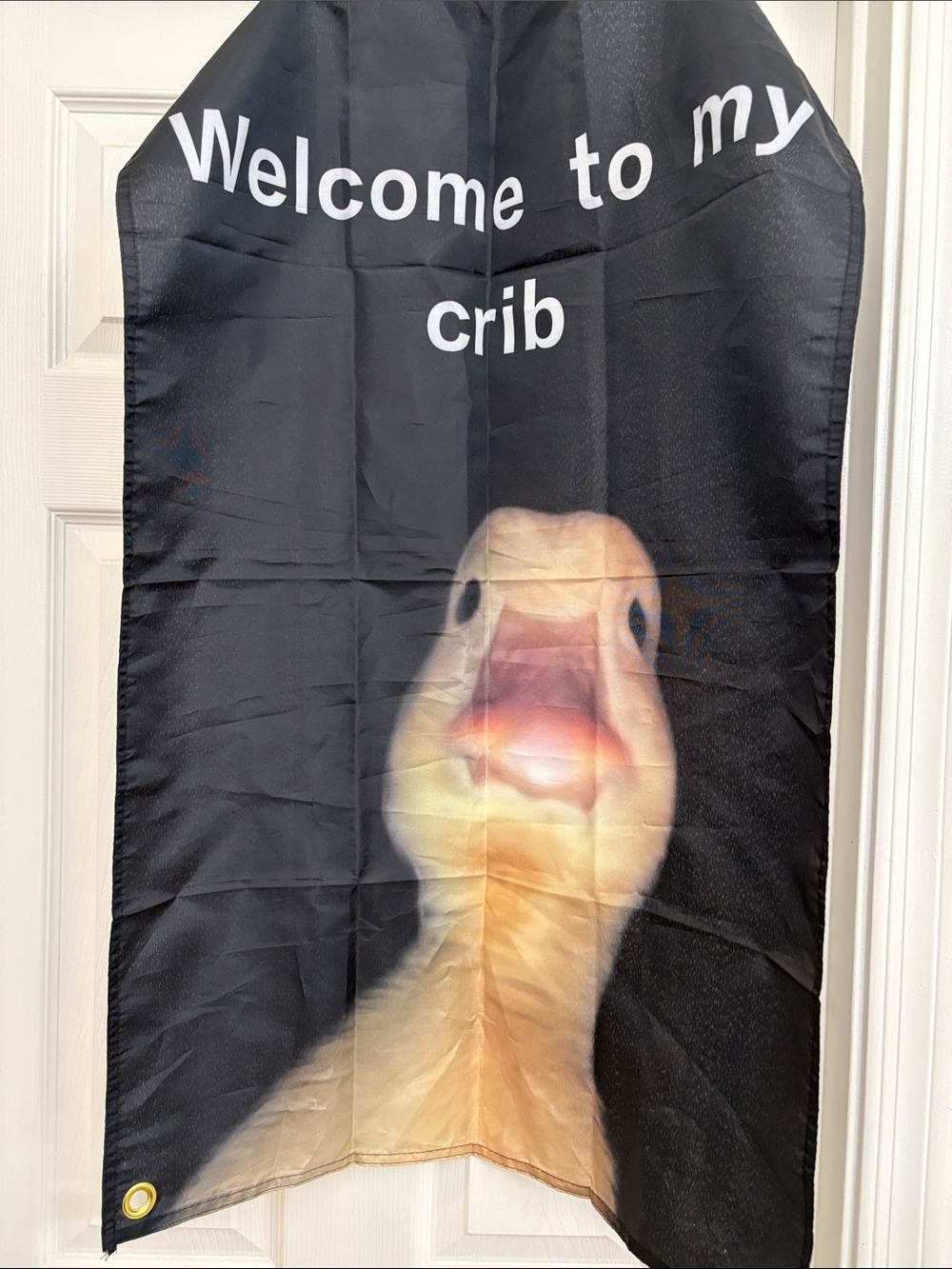 Welcome to My Crib Reptile/Small Pet Decorative Banner - Black with Yellow Duck